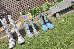 Sample picture