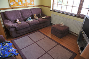 Sample picture